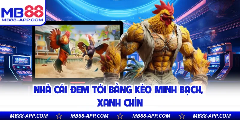 Nhà cái đem tới bảng kèo minh bạch, xanh chín